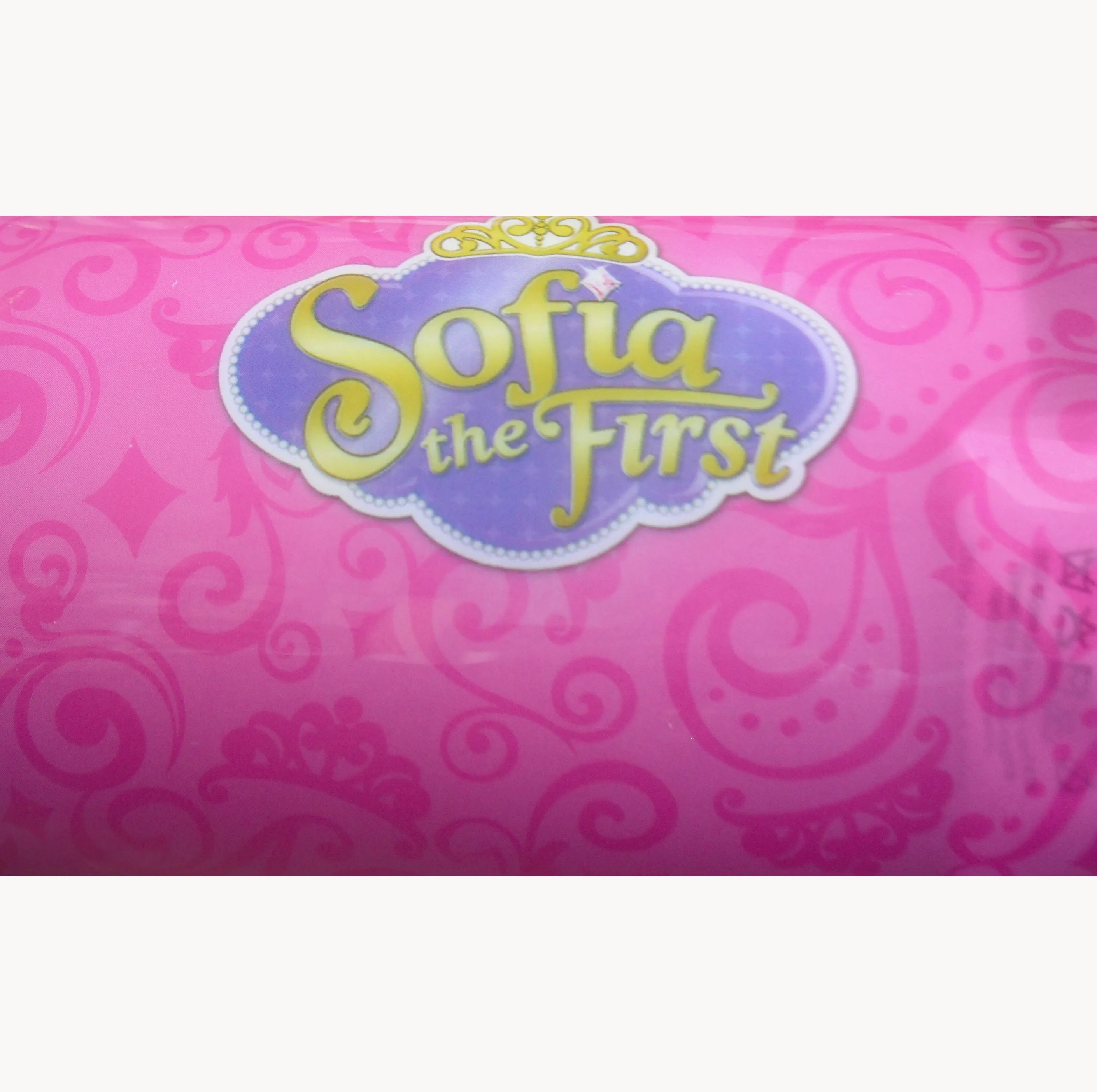 Disney's Sofia the First Pencil Case